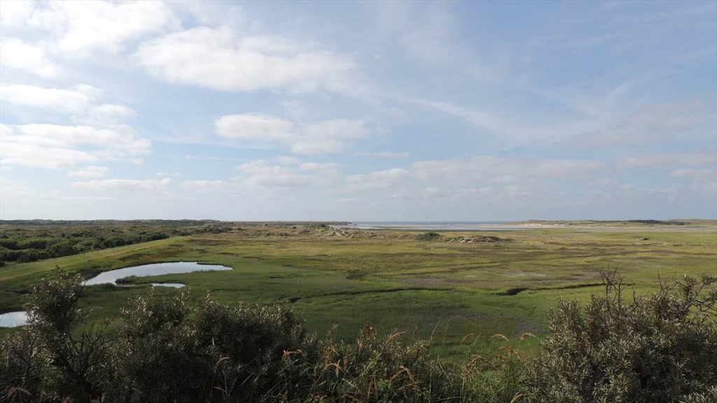 18 Texel - de Slufter