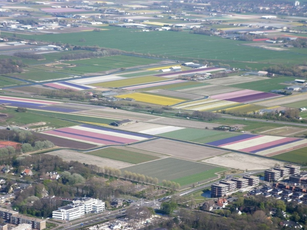 12 Bloembollenvelden