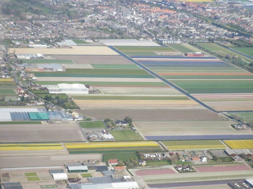 13 Bloembollenvelden