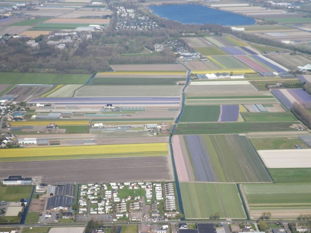 14 Bloembollenvelden
