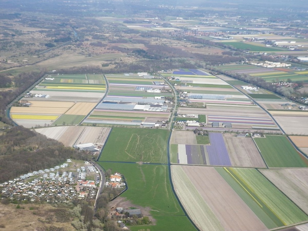 16 Bloembollenvelden