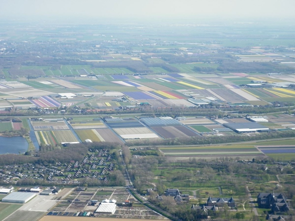 17 Bloembollenvelden