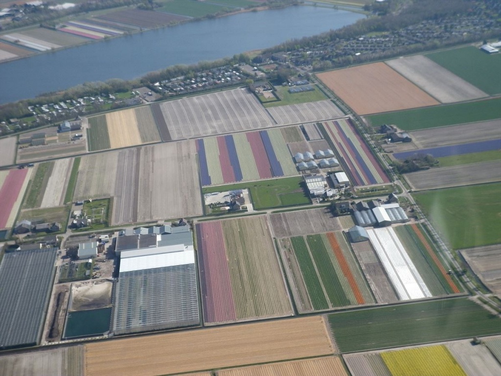 19 Bloembollenvelden