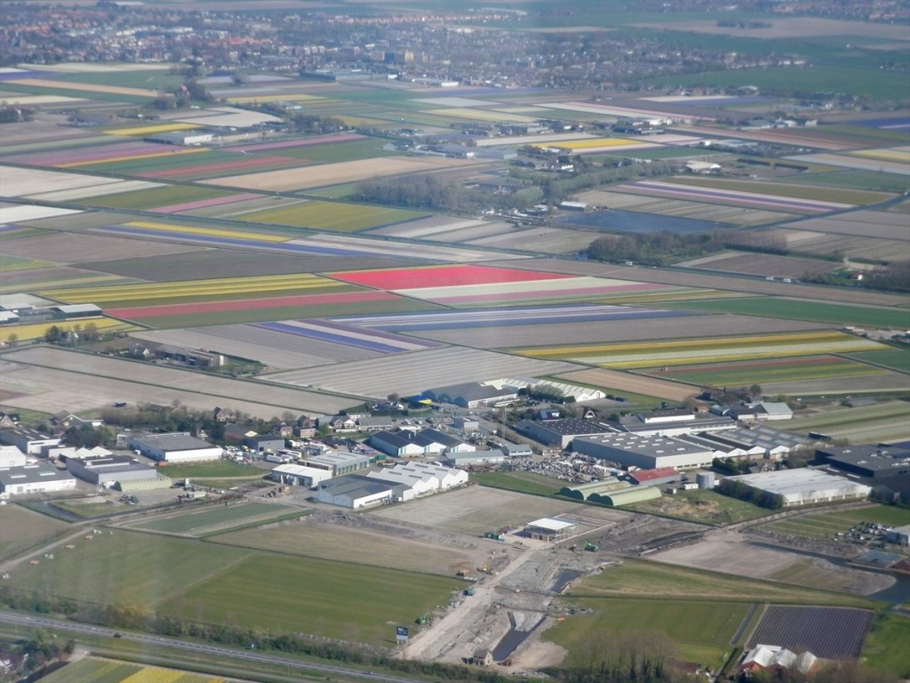 20 Bloembollenvelden