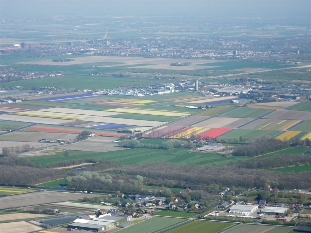 21 Bloembollenvelden