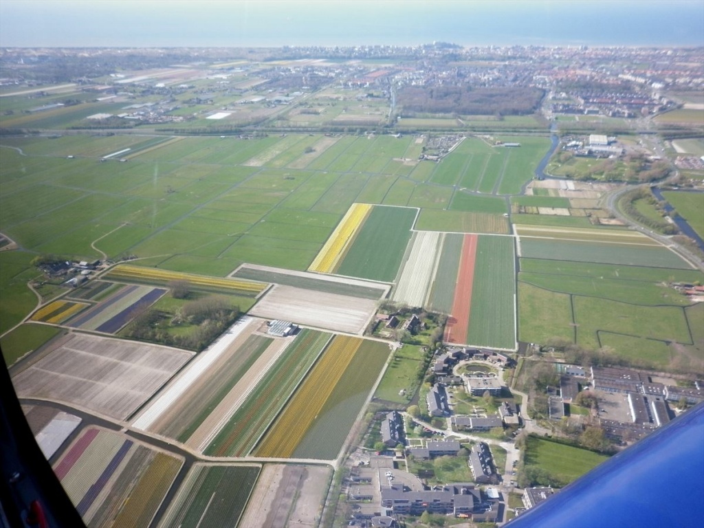 24 Bloembollenvelden
