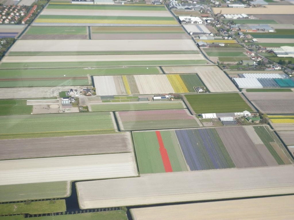 28 Bloembollenvelden