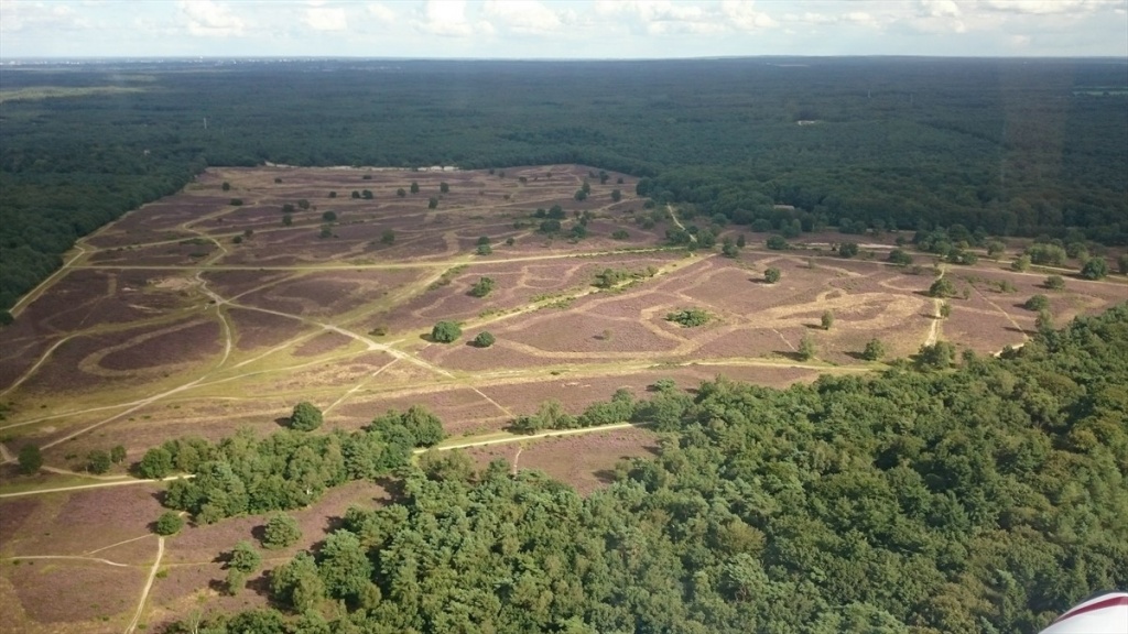 10 Hoorneboegse heide bij EHHV