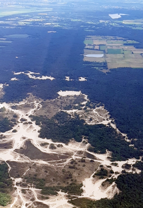03_Loonse_en_Drunense_Duinen