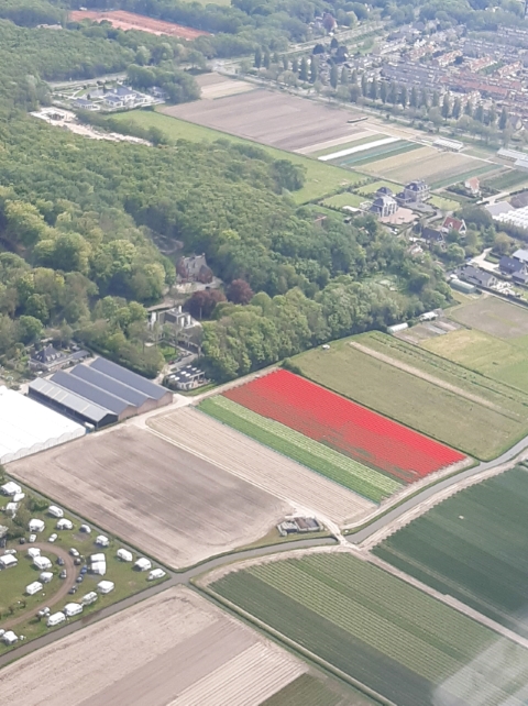 08_Bollenvelden_bij_Noordwijk